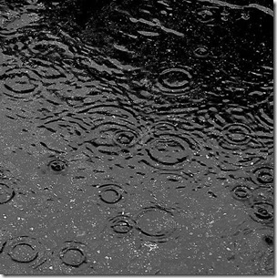 rainy soil - cropped